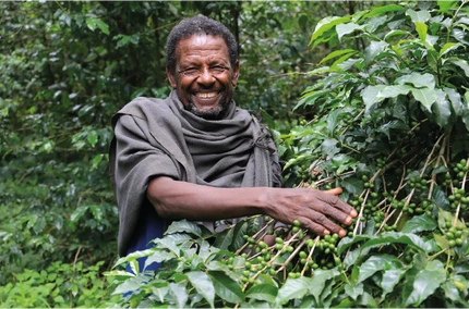 ETHICAL SOURCING & SUSTAINABILITY